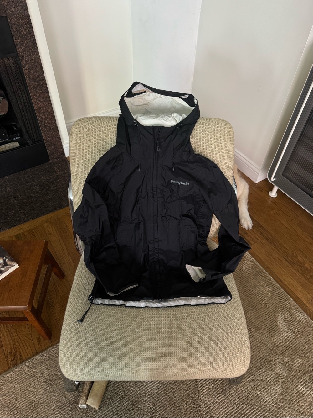 Patagonia Black Hooded Shell Jacket with White Lining